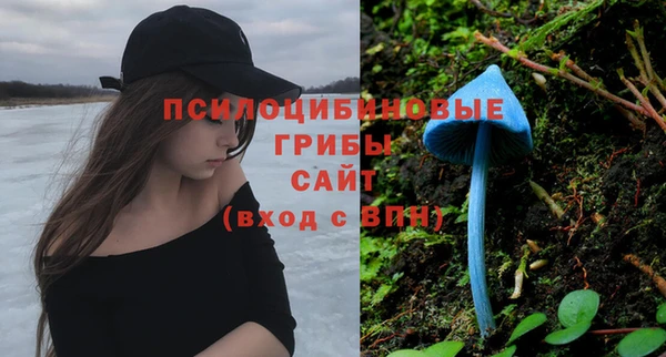 2c-b Алексин