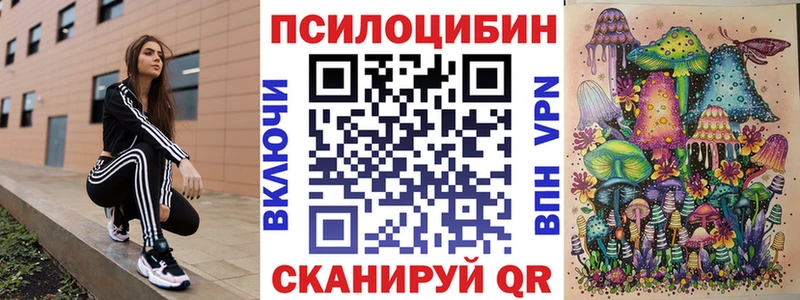Псилоцибиновые грибы MAGIC MUSHROOMS  KRAKEN онион  Щёлкино 